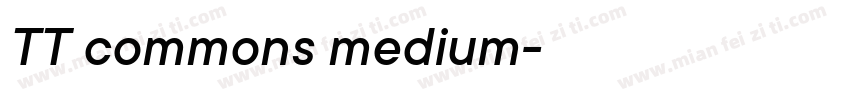 TT commons medium字体转换